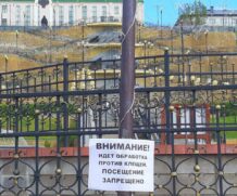 Внимание! Обработка от клещей в парке Подниколье — посещение запрещено!