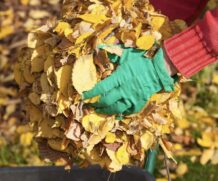 Республиканский субботник