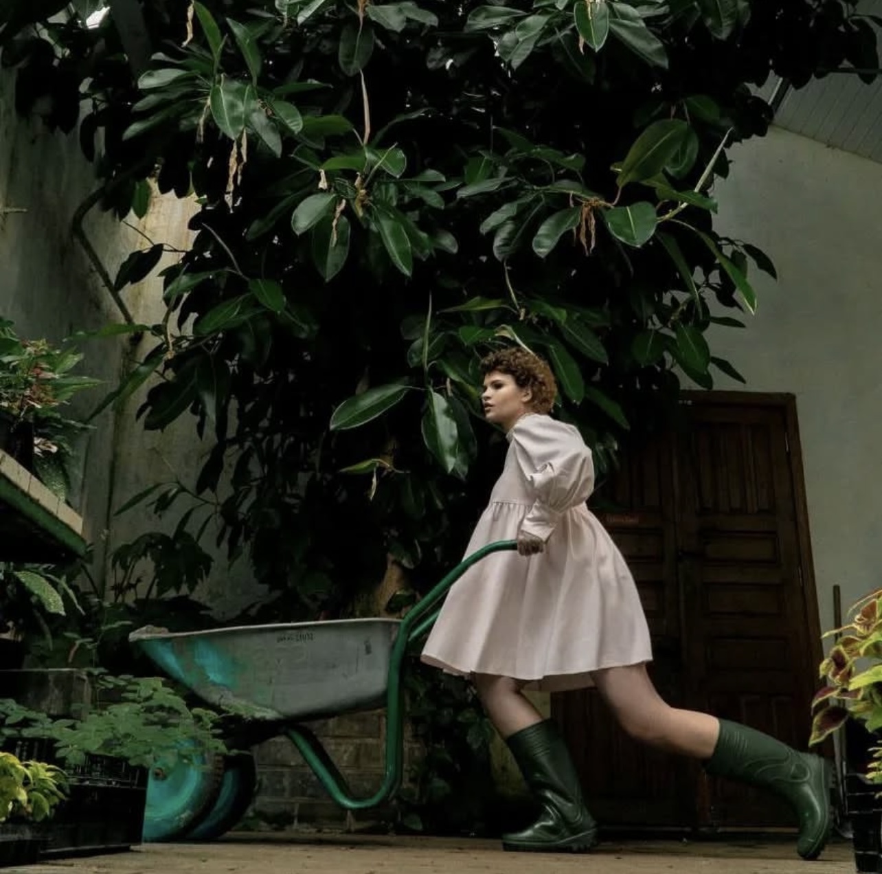 Фотосессии screenshot