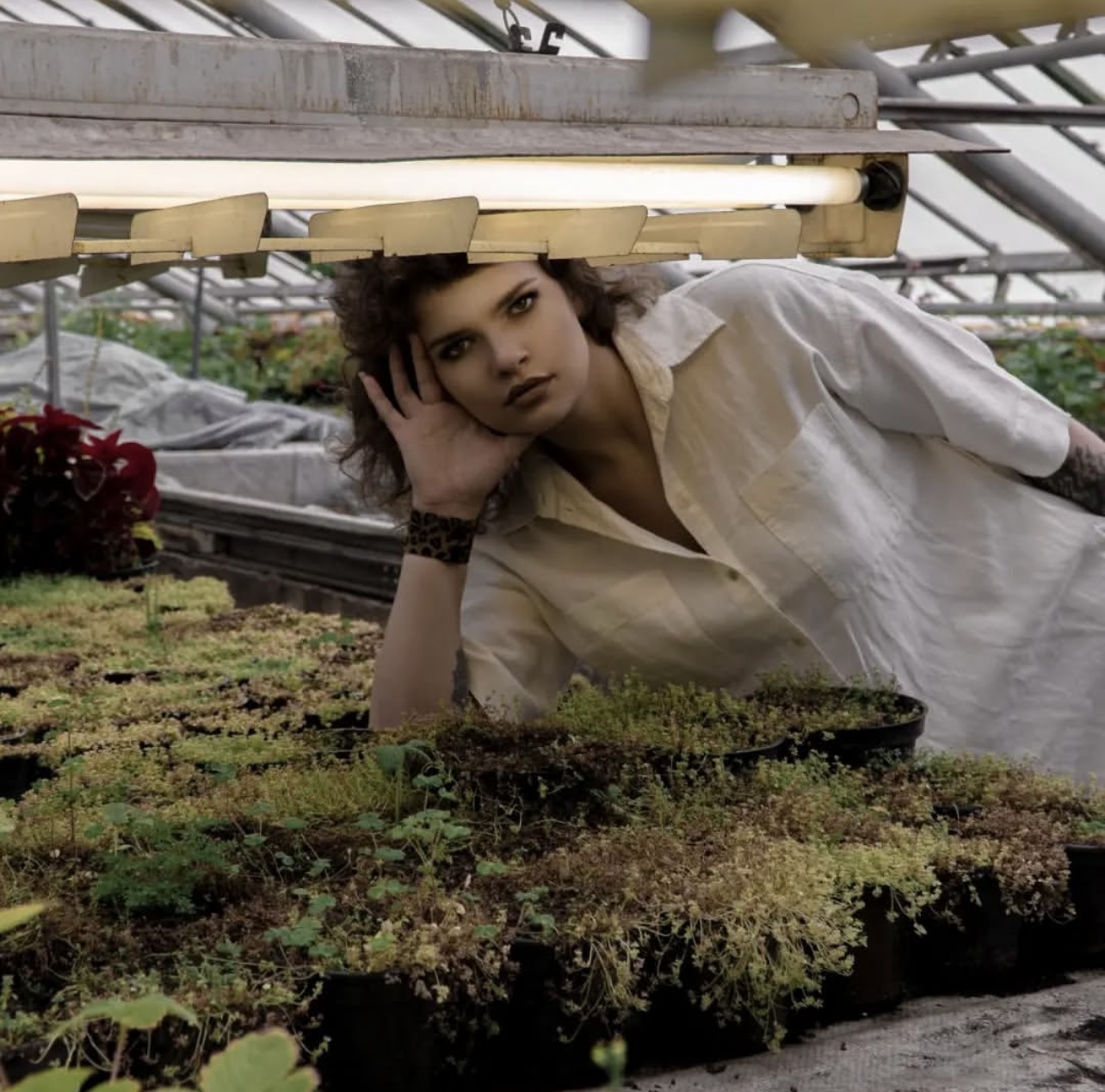 Фотосессии screenshot