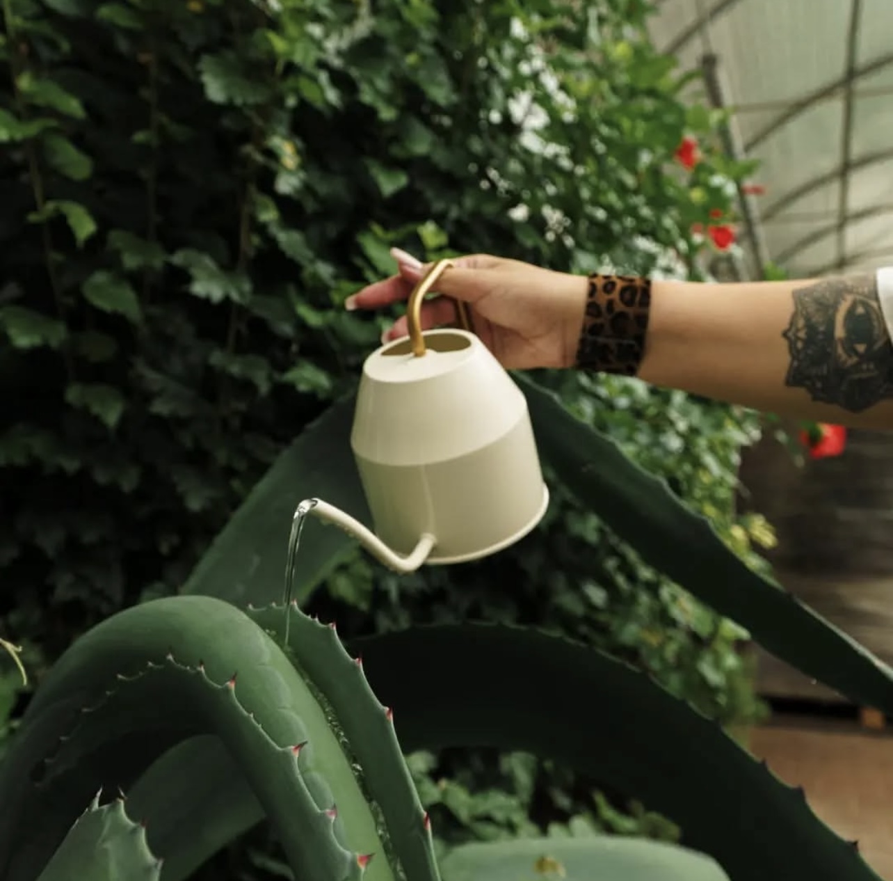 Фотосессии screenshot