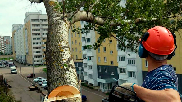 98b2222b294cae5ca9cbb35d268495f4