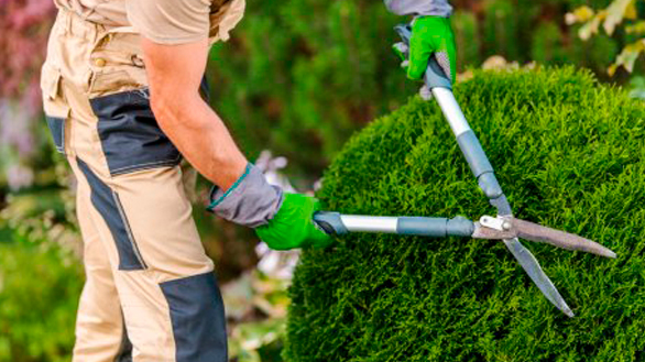 images cms image 000096813