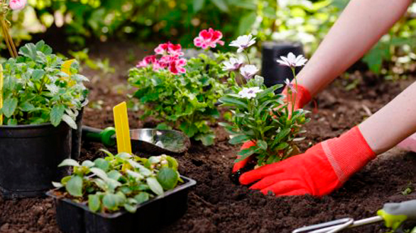 images cms image 000097820