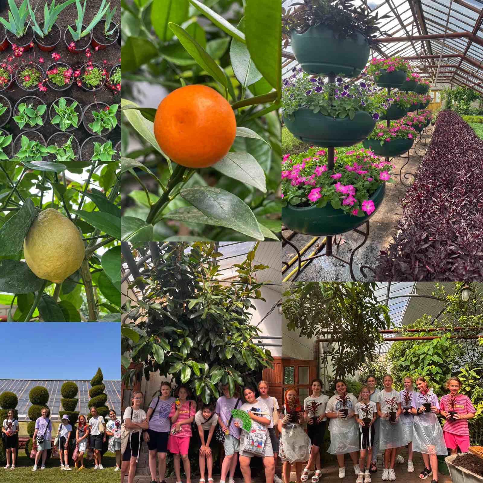 izobrazhenie viber 2025 07 16 11 28 14 340