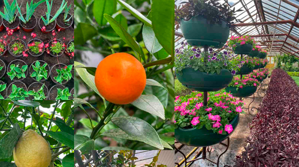 izobrazhenie viber 2025 07 16 11 28 14 340