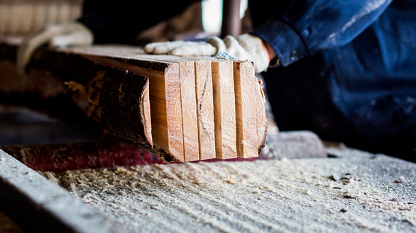 ma0009bo9jckst4y4h68i6zszez1it8j