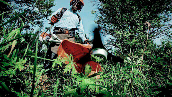 pokos burjyana1 720x405